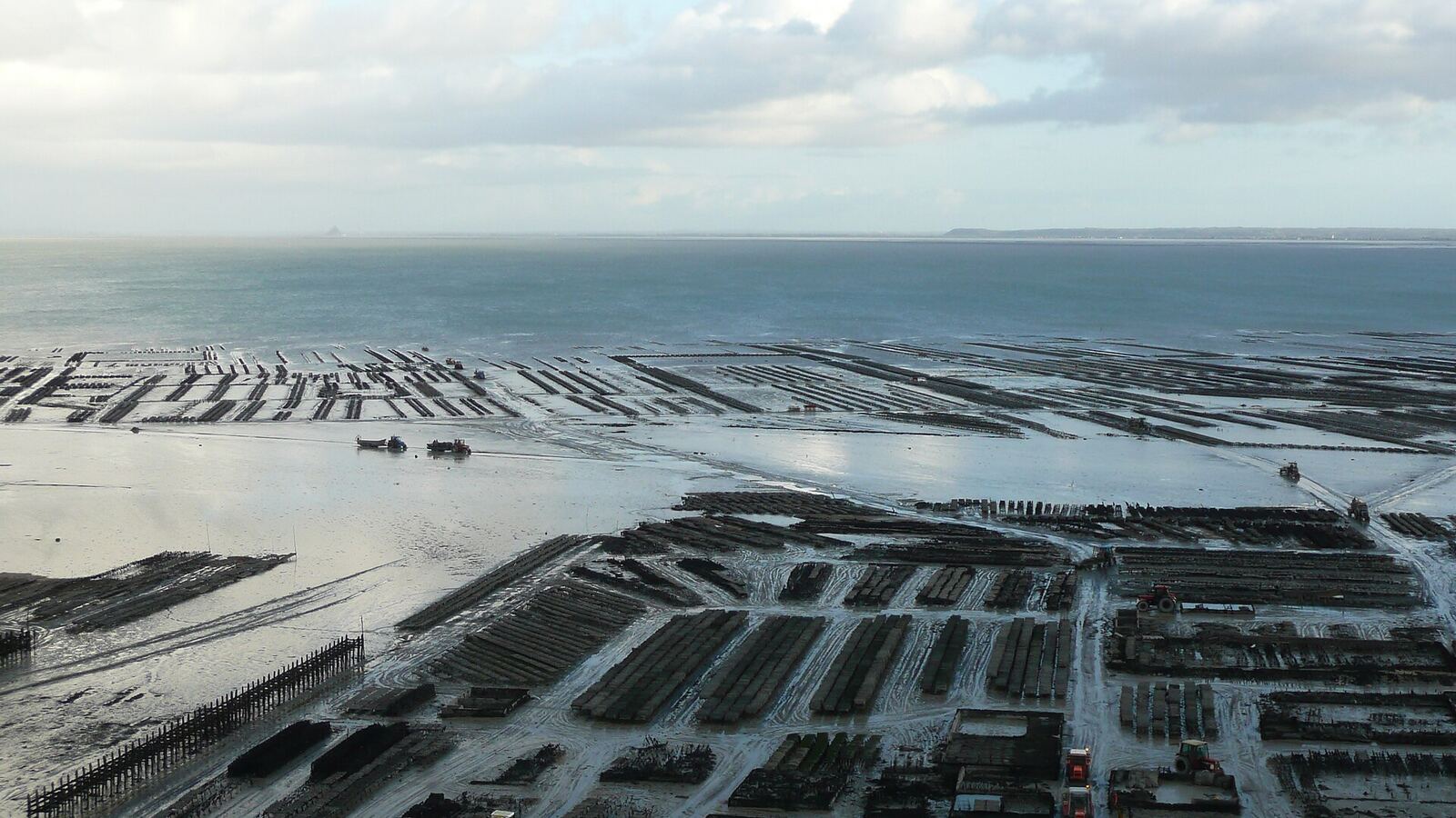 Cancale Oyster Market