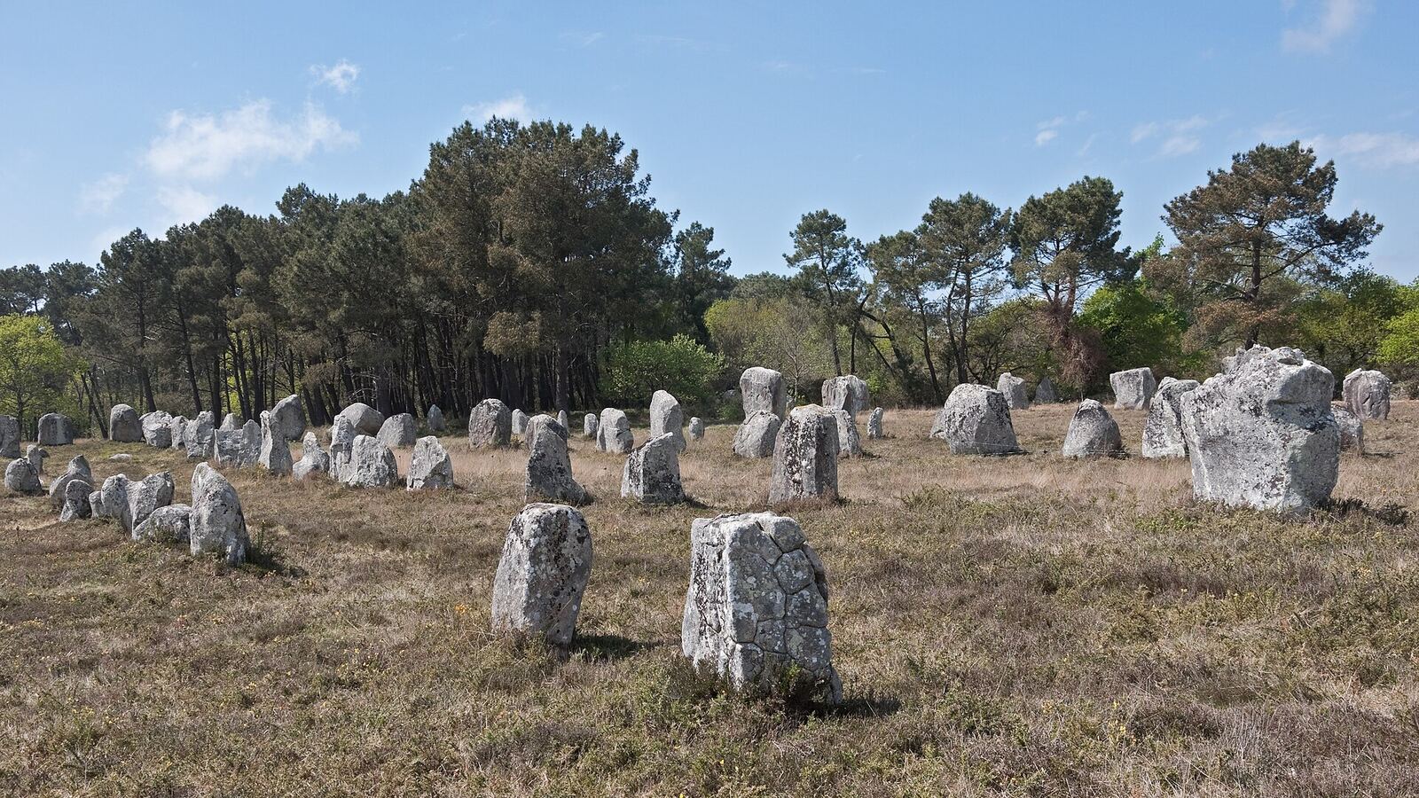 Carnac Standing Stones